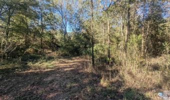 CR 4234, De Kalb, TX 75559