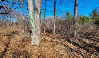 399 Bard Rd, Bennington, VT 05201