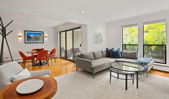 980 E Hyman Ave 3, Aspen, CO 81611