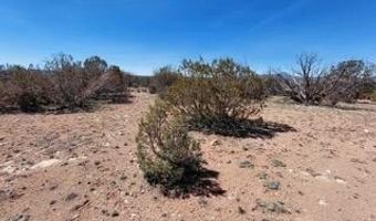 302-17 306 Haywire Rd, Ash Fork, AZ 86320
