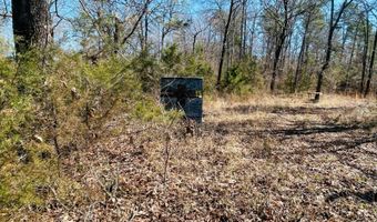 45 N 4450 Rd, Albion, OK 74521