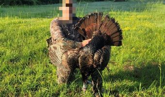 Henderson Rd, Batesville, MS 38606