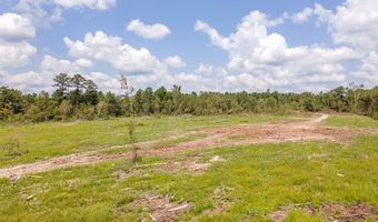 R53358 Tract 2 HWY 94, Apple Springs, TX 75926