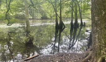 1373 Bridge St, Branchville, SC 29432