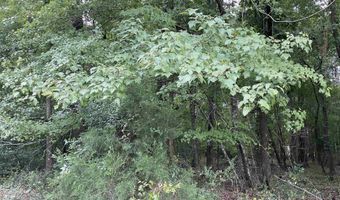 3551 Moonlight Rd, Barnwell, SC 29853