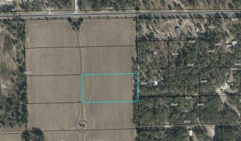 3830 NW 31st Ave, Bell, FL 32619