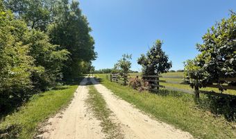 6491 Wolf Pond Rd, Bascom, FL 32423