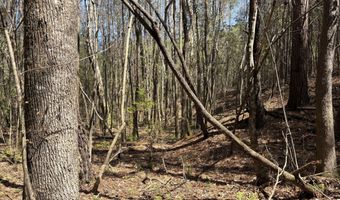 SW Auburn Drive, Bogue Chitto, MS 39629