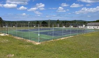 6731 San Juan Rd Lot 49, Alanson, MI 49706