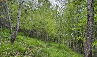 4 Fox Pointe Dr, Banner Elk, NC 28604