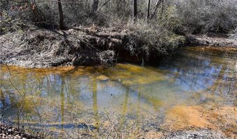 2977 Georgia Highway 120, Tallapoosa, GA 30176