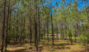 7072 Brooklyn Rd, Andalusia, AL 36421