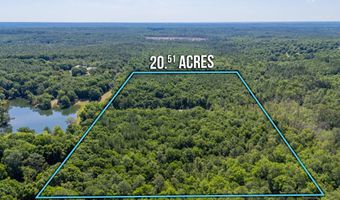 20 Acres Canyon Trl, Baker, FL 32531