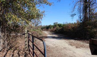 Highway 3, Blackville, SC 29817