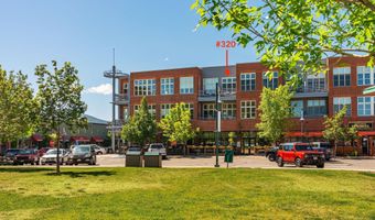 231 Robinson St 320, Basalt, CO 81621