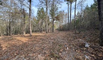 2423 Mill Creek Rd, Bethune, SC 29009