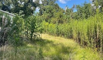 12539 YOUNG Ln, Amite, LA 70422