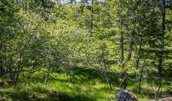 87 Rock Ridge Way, Bigfork, MT 59911