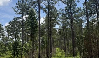 154 County Road 38 Acres, Banks, AL 36005