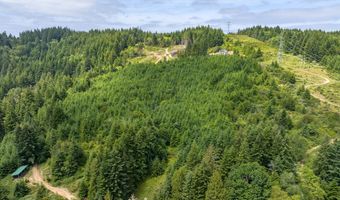 54431 Morrison Rd, Bandon, OR 97411