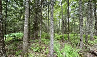 M5 L27-3 Marks Road, Albion, ME 04910