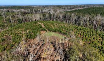 County Road 25, Banks, AL 36005