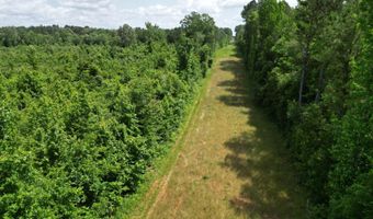 Co Rd 2337, Bay Springs, MS 39422