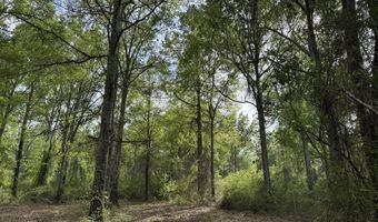1203 Love St, Brookhaven, MS 39601