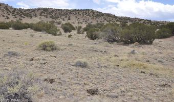 88 B County Road 5035, Concho, AZ 85924