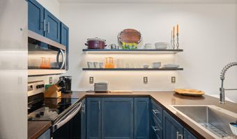 1400 E Valley Rd 110, Basalt, CO 81621