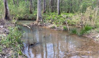 03 County Road 6650, Banks, AL 36005