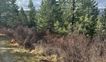 NNA Quiet Heights Rd, Athol, ID 83801