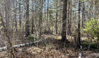 8 Pine Hill Dr, Belfast, ME 04915
