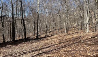 L21.1 Alder Pond Road, Andes, NY 13740