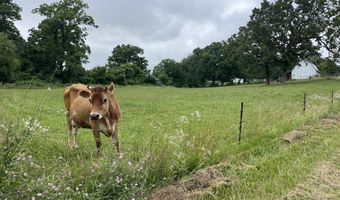 1107 Lower Ford Rd, Ava, MO 65608