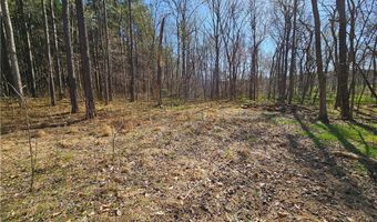 13 Acres Pridesville Rd, Amelia, VA 23002