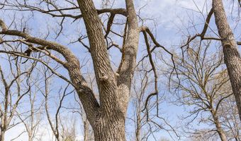 9795 Co Rd W 76-506, Ava, MO 65608