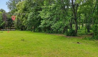 425 Courtney Rd, Addison Twp., MI 48367