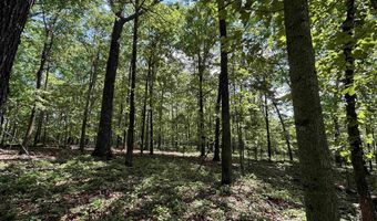 COLVIN SPRINGS ROAD 6, Ashville, AL 35953