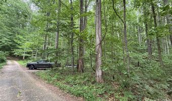 9999 Countryside Est, Barnardsville, NC 28709