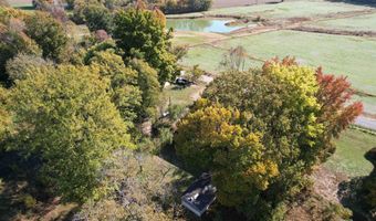 451 County Road 1320, Bardwell, KY 42023