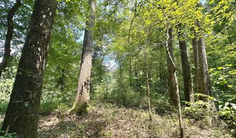 2 Champion Hill Rd, Bolton, MS 39041