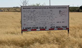 1165 SE 1620, Andrews, TX 79714