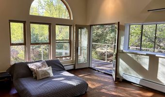 410 N Mill St, Aspen, CO 81611