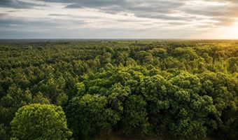 0- A Us Highway 278, Barnwell, SC 29812