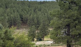 San Mateo Drive lot 1292, Angel Fire, NM 87710