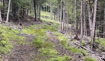 Underwood Road lot 7 & 10, Acworth, NH 03601