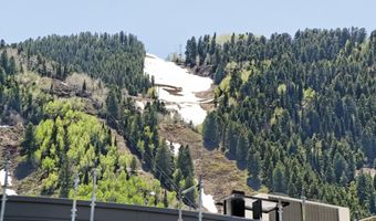 630 E Cooper Ave 1, Aspen, CO 81611