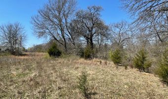 Willow Bend Lane, Atoka, OK 74525