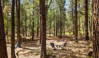 8 County Road 2083, Alpine, AZ 85920